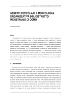 Assetti reticolari e morfologia organizzativa del distretto industriale di Como